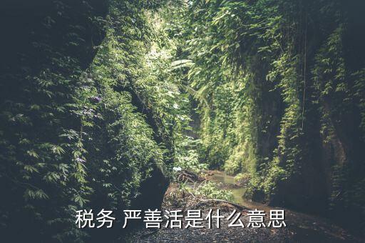 中國稅務(wù)精神是什么意思，稅務(wù)是什么意思啊學(xué)什么內(nèi)容