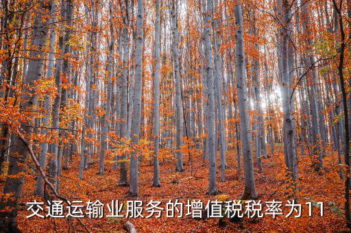 11稅率的服務(wù)包括什么，營改增后11個點稅包括哪些內(nèi)容