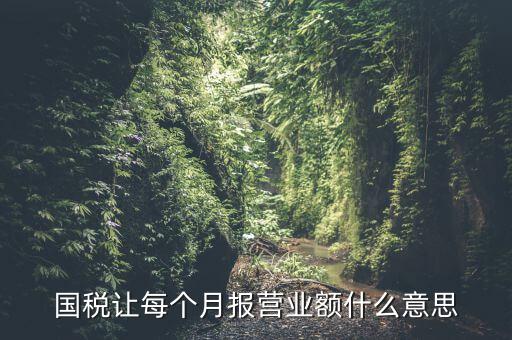 國(guó)稅每月報(bào)稅的是什么意思，請(qǐng)問每月抄稅和報(bào)稅各是什么意思