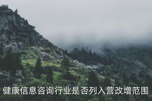 什么時候什么營改增的，營改增的會計范圍及會計處理