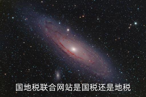 國地稅聯(lián)合辦稅是什么，國地稅聯(lián)合稅費申報什么意思