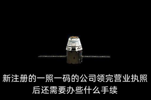 一照一碼后還需辦什么，網(wǎng)上申請一照一碼必須要經(jīng)辦人的U盾嗎