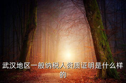 納稅資質(zhì)證明是什么意思，什么是稅務(wù)證明