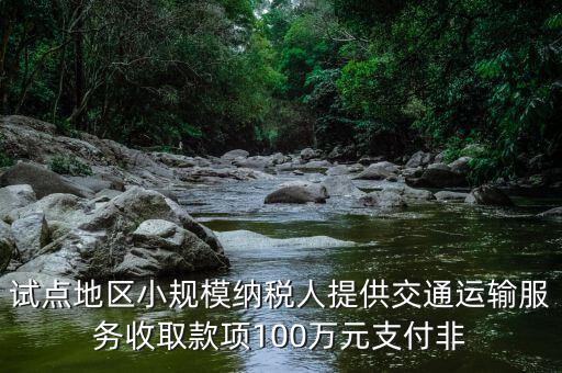什么向試點(diǎn)地區(qū)納稅人支付費(fèi)用，4試點(diǎn)地區(qū)內(nèi)一般納稅人向試點(diǎn)地區(qū)內(nèi)一般納稅人支付費(fèi)用取得增值
