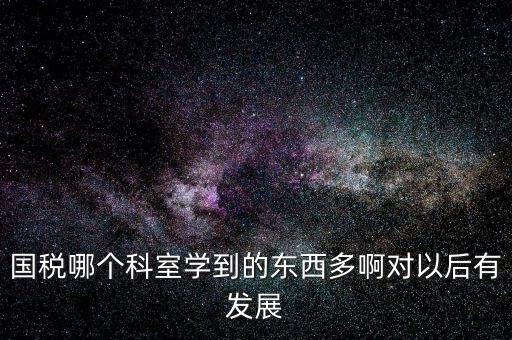 國稅哪個(gè)科室學(xué)到的東西多啊對(duì)以后有發(fā)展