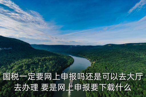 地稅進(jìn)國稅要下載什么，深圳國地稅想網(wǎng)上申報(bào)要下載什么東西嗎