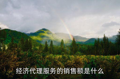 什么是經(jīng)濟(jì)代理，請問什么叫經(jīng)濟(jì)合同代理人