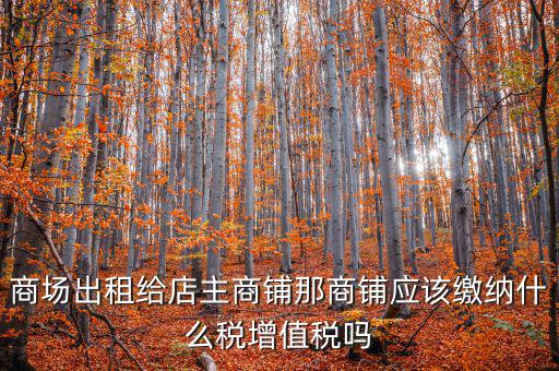租用商鋪需要交什么稅，我租個門市都需交什么稅