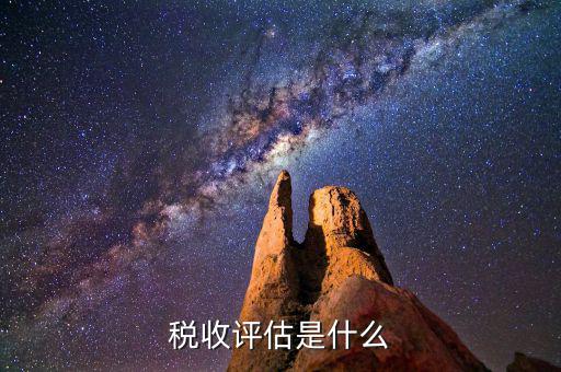 什么叫地稅納稅評估，納稅評估都是評估什么