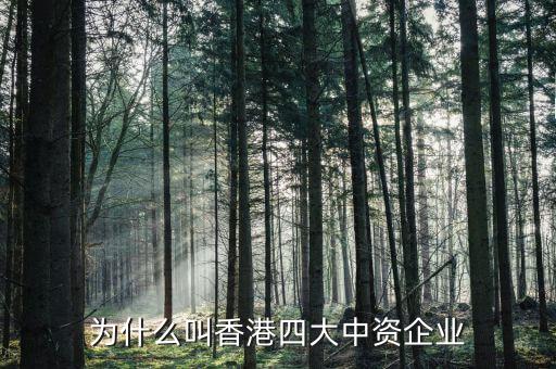 什么叫中資控股企業(yè)，為什么叫香港四大中資企業(yè)