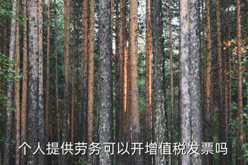 什么是個(gè)人勞務(wù)發(fā)票嗎，個(gè)人開工程勞務(wù)費(fèi)發(fā)票是在工程所在地開具嗎