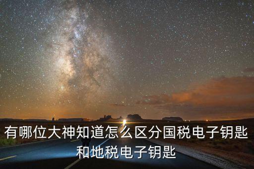 國稅電子鑰匙是什么，稅務(wù)密鑰是什么東西是數(shù)字證書嗎