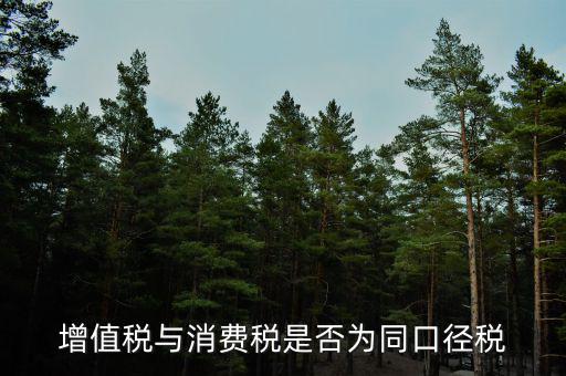 稅收可比口徑什么意思，稅收比重什么意思