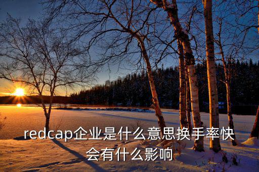 大企業(yè)局是什么意思，廣東省地稅網(wǎng)上的財(cái)務(wù)報(bào)表中的大企業(yè)局?jǐn)?shù)據(jù)報(bào)送是指什么
