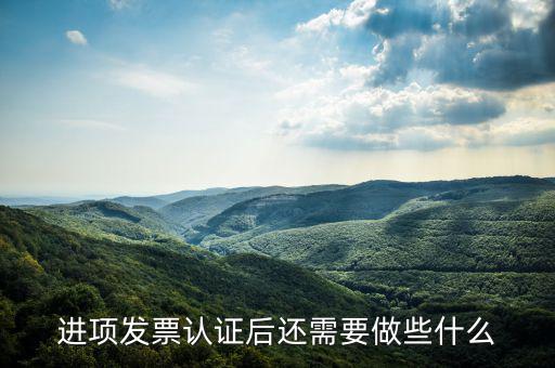 核定發(fā)票后發(fā)行后還坐什么，認(rèn)證完發(fā)票在干什么