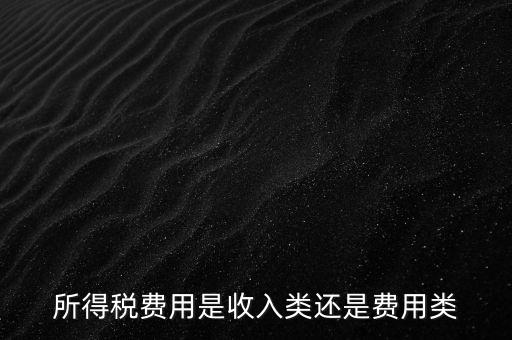 所得稅屬于什么費用，所得稅費用是收入類還是費用類