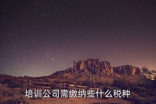 培訓(xùn)機構(gòu)依據(jù)什么納稅，培訓(xùn)單位按什么標(biāo)準(zhǔn)納稅