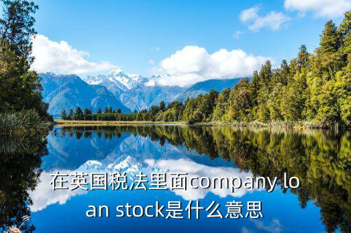 英國出國稅 是什么意思，在英國稅法里面company loan stock是什么意思