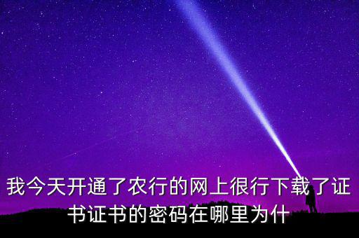 查看證書密碼是什么原因，我今天開通了農(nóng)行的網(wǎng)上很行下載了證書證書的密碼在哪里為什
