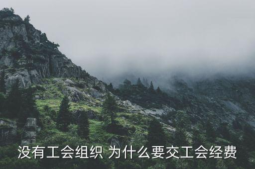 為什么要繳納工會經(jīng)費(fèi)，什么情況下公司要成立工會且要交工會經(jīng)費(fèi)