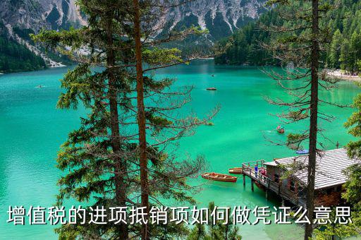 進(jìn)項(xiàng)證明是什么意思，上年度藥品收入情況的稅務(wù)單據(jù)證明是什么意思