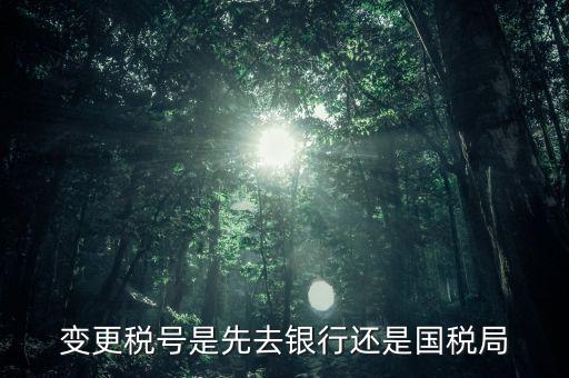 變更稅號屬于什么業(yè)務(wù)，公司變更稅號都要什么東西