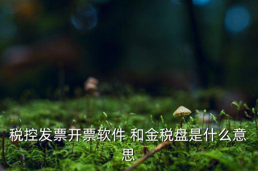 稅控系統(tǒng)指什么，稅控發(fā)票開票軟件 和金稅盤是什么意思
