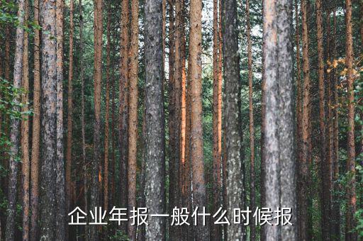 財務(wù)年報什么時候報，企業(yè)財務(wù)會計報告什么時間出具