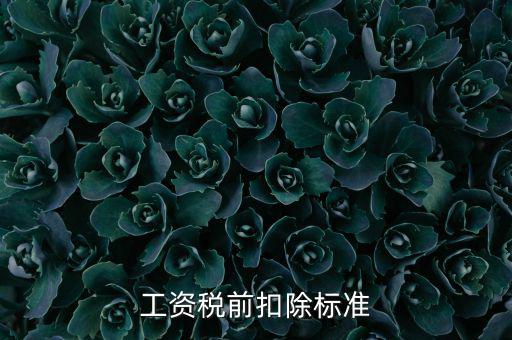 什么是稅前扣除標(biāo)準(zhǔn)，請(qǐng)問差旅費(fèi)稅前扣除標(biāo)準(zhǔn)是什么