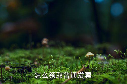 普通發(fā)票在什么地方領(lǐng)，怎么領(lǐng)取普通發(fā)票