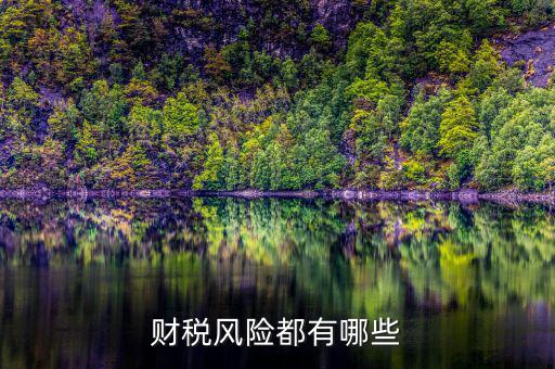 財(cái)稅問題有什么，請(qǐng)教財(cái)稅的基礎(chǔ)問題謝謝很簡單的