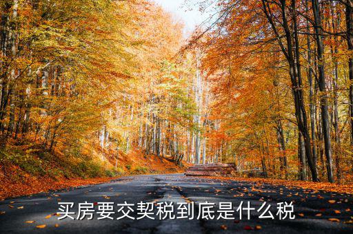 契稅的征稅范圍是什么，契稅的征稅范圍主要有哪些