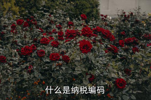 稅收編號是什么，什么是納稅編碼