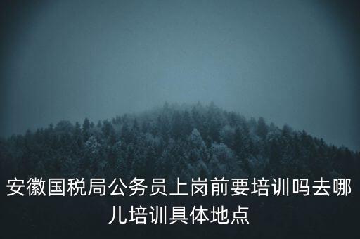 安徽國(guó)稅什么時(shí)候培訓(xùn)，安徽省稅務(wù)學(xué)校還在嗎那里的教學(xué)樓宿舍和操場(chǎng)都還在嗎沒(méi)被拆