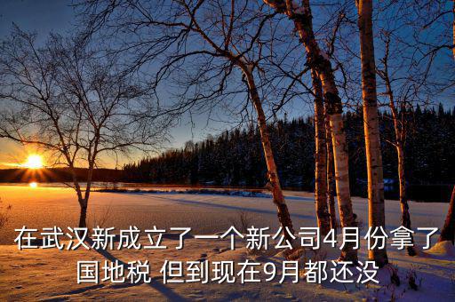 在武漢新成立了一個(gè)新公司4月份拿了國地稅 但到現(xiàn)在9月都還沒