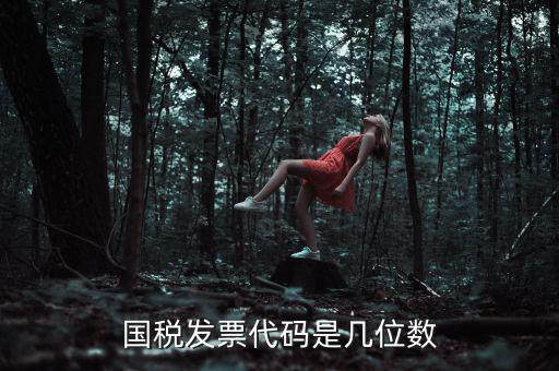 發(fā)票代碼是什么位置，國稅普票代碼是幾位數(shù)字在什么位置