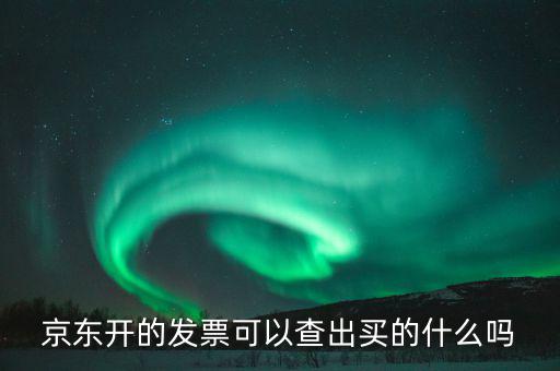 手機(jī)發(fā)票可以查什么東西，京東開(kāi)的發(fā)票可以查出買的什么嗎