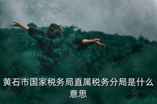 國(guó)稅直屬分局是什么局，國(guó)稅局是什么單位