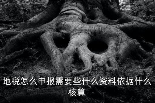 地稅根據(jù)什么申報，地稅怎么申報