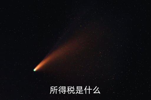 所得稅支出是什么，所得稅是什么