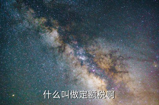 定額定稅是什么意思，什么叫做定額稅啊