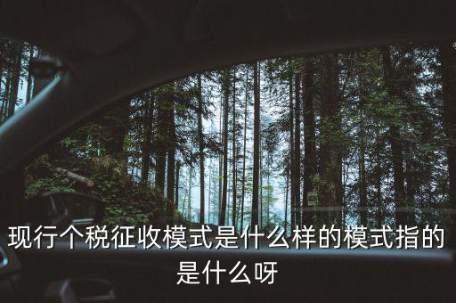個人征稅系統(tǒng)是什么，你好補交個稅在稅局系統(tǒng)怎樣操作