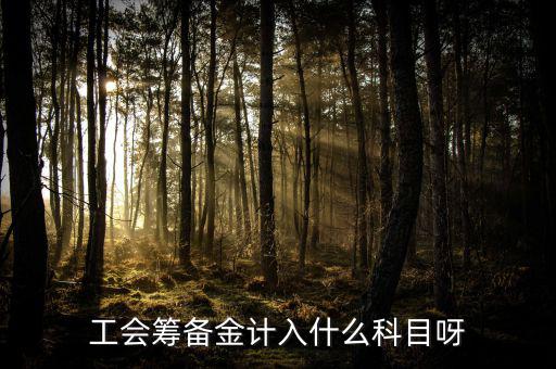 什么是工會(huì)籌備金，工會(huì)籌備金計(jì)入什么科目呀