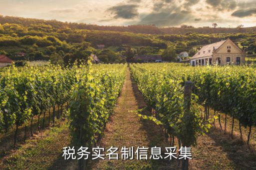 實名采集需要什么資料，實名制驗證身份證信息采集有沒有這種身份證證件識別方式  搜