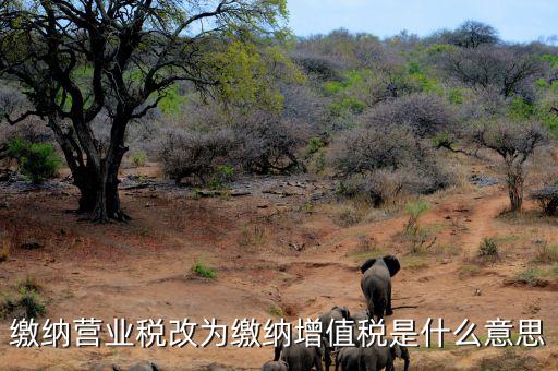 營業(yè)稅改為增值稅是什么意思，營業(yè)稅改增值稅指的是什么