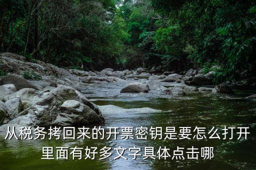 稅務(wù)密鑰是什么，增值稅專用發(fā)票辦理秘鑰是什么意思