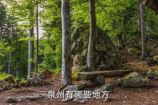 德化國(guó)稅在什么地方，德化哪個(gè)地方有花卉
