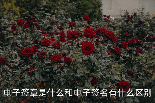國(guó)稅電子簽章什么意思，什么是電子印章