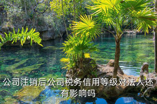 國稅評(píng)級(jí)有什么影響，納稅評(píng)估的作用有哪些