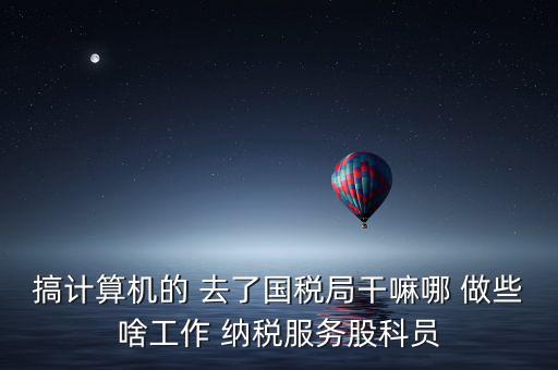 納服科是什么，搞計算機(jī)的 去了國稅局干嘛哪 做些啥工作 納稅服務(wù)股科員